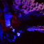 пещера Студенческая: фото №746957