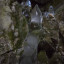 пещера Аракаевская: фото №645953