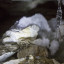 пещера Аракаевская: фото №645956