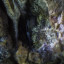 пещера Аракаевская: фото №645966
