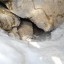 пещера Шемахинская-1: фото №362264