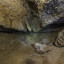 Юрьевская пещера и Камско-Устьинский гипсовый рудник: фото №716675