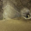 Юрьевская пещера и Камско-Устьинский гипсовый рудник: фото №716678