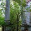 Усадьба Никитинских в деревне Костино: фото №136700