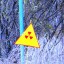 Чернобыль: фото №325377
