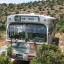 Happy Hippy Bus — несостоявшийся минибизнес: фото №70213