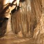 пещера Чудесница: фото №71274