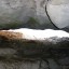 пещера «Казачий Стан»: фото №72832