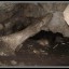 пещера «Казачий Стан»: фото №79526