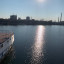 Стоянка судов в Кожуховском затоне: фото №707479