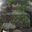 Водонапорная башня на Павлова: фото №311057