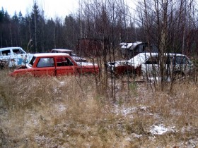 Кладбище автомобилей в болоте