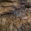 Бяки (Гурьевские каменоломни): фото №746025