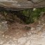 Нолькинские каменоломни: фото №151919