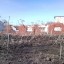 Заброшенная скотоферма в Кантаурово: фото №95904