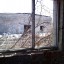 Заброшенная скотоферма в Кантаурово: фото №95909