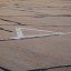 Взлетно-посадочная полоса недействующего аэродрома «Клоково»: фото №189362