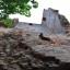 Руины кирхи в поселке Корнево: фото №520047