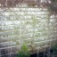 Искитимский мраморный карьер: фото №521052
