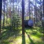 Пионерский лагерь в сосновом лесу: фото №104381
