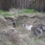 Заброшенный и разрушенный бункер в Новопышминском: фото №105293