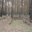 Заброшенный и разрушенный бункер в Новопышминском: фото №105296