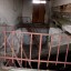 Заброшенная ТЭЦ в Новоалтайске: фото №148434