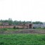 Свинарник в Крапивне: фото №110250