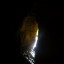 Пещерная система «Тупички» («Пляжная» или «Новокоп»): фото №316041
