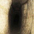 Пещерная система «Тупички» («Пляжная» или «Новокоп»)