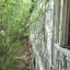 Заброшенный пансионат «Лесной»: фото №117523