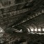 Бывшие склады в посёлке Светлый: фото №261166