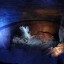 Саблинские пещеры — Лисьи Норы: фото №147250