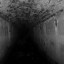 Подземная дореволюционная гидросистема Соловецкого монастыря: фото №141795