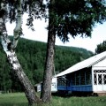 Детский лагерь «Багульник»