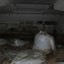 Убежище омского завода трубной изоляции: фото №457452